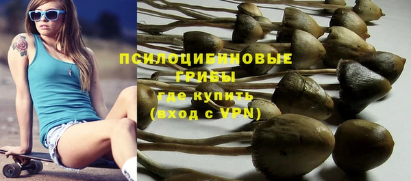 не бодяженный Арсеньев