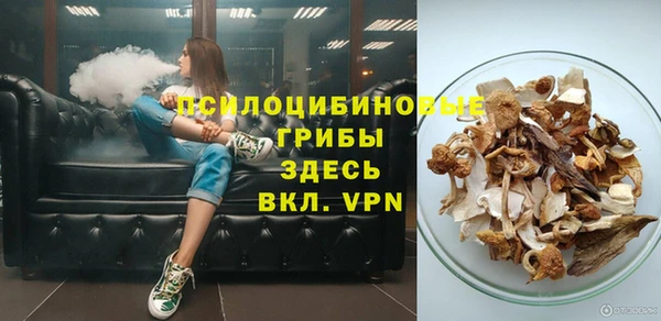 не бодяженный Арсеньев