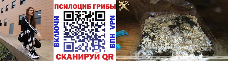 дарнет шоп  Рошаль  Псилоцибиновые грибы Magic Shrooms 
